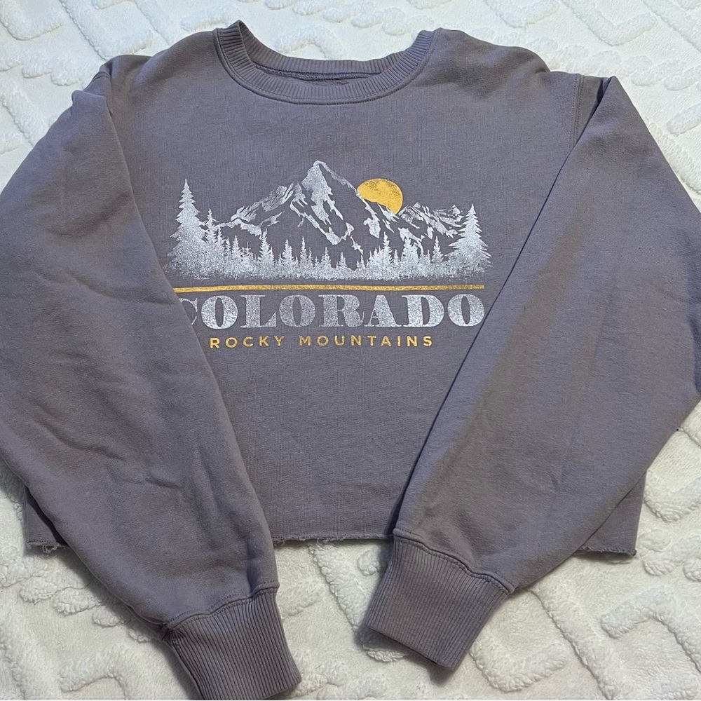 Hollister Gray Mountain Graphic Sweatshirt